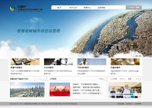 中國安防技術(shù)有限公司